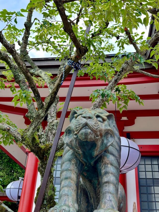 アチューメント】瀬織津姫のドラゴンパワーヒーリング | 旅する